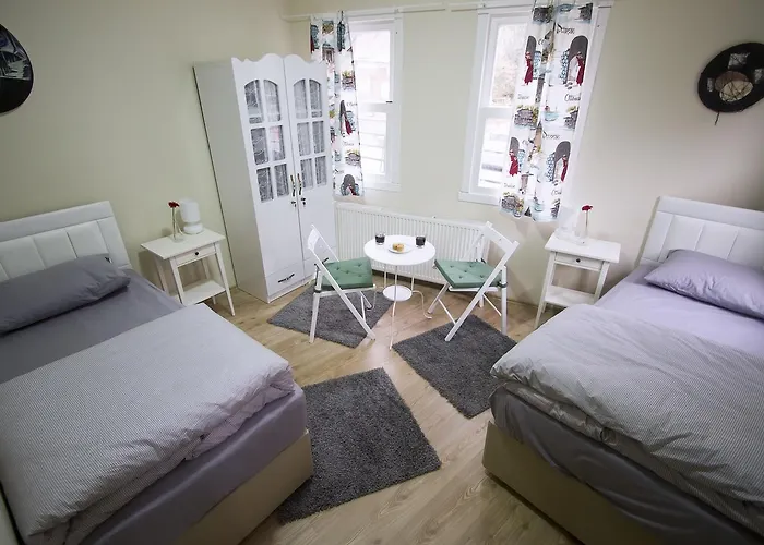 Erasmus House Pensionat Istanbul